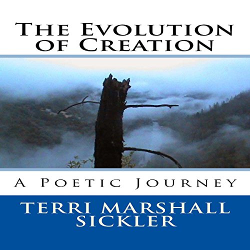 Cover of The Evolution of Creation