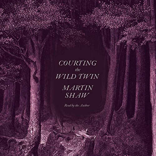 Cover of Courting the Wild Twin