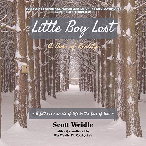 Cover of Little Boy Lost