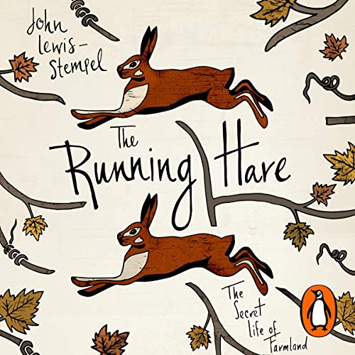 Cover of The Running Hare