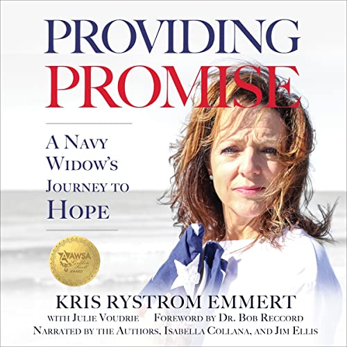 Cover of Providing Promise