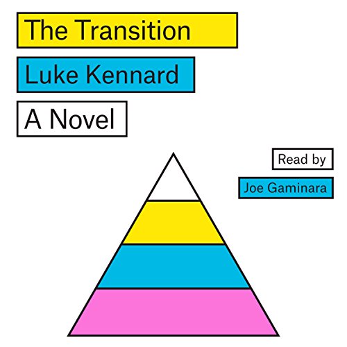 Cover of The Transition