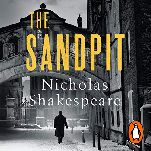 Cover of The Sandpit