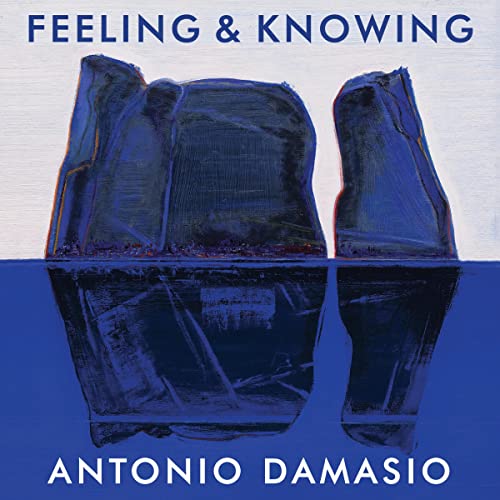 Cover of Feeling and Knowing