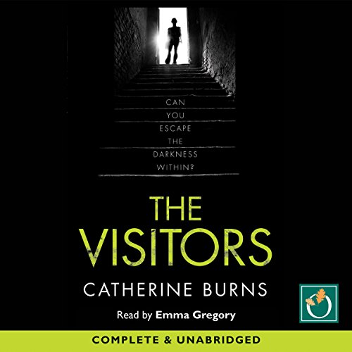 Cover of The Visitors