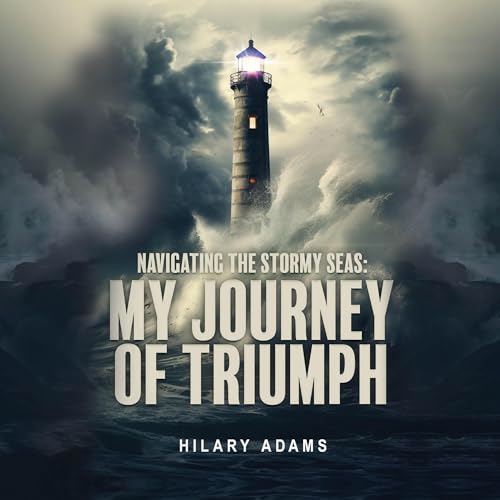 Cover of Navigating the Stormy Seas