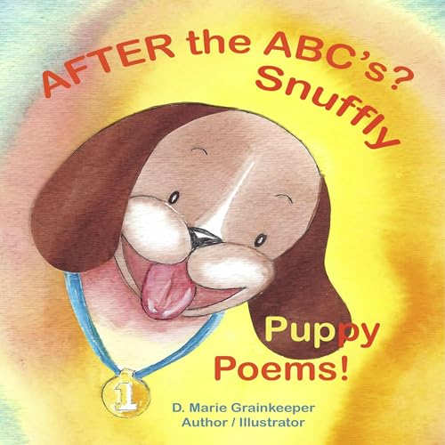 Cover of After the ABC's?