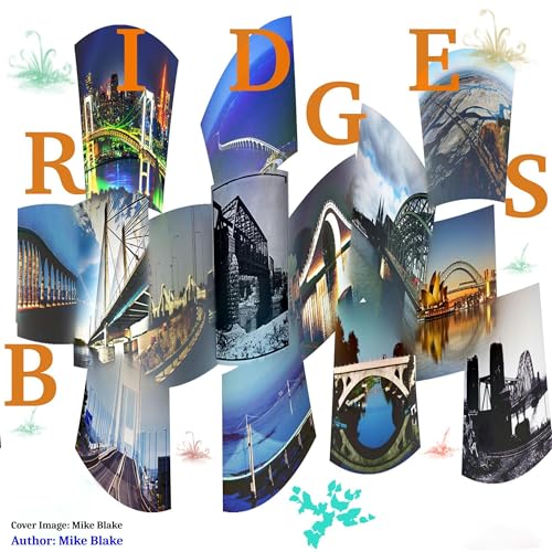Cover of Bridges: Rivers of Traffic