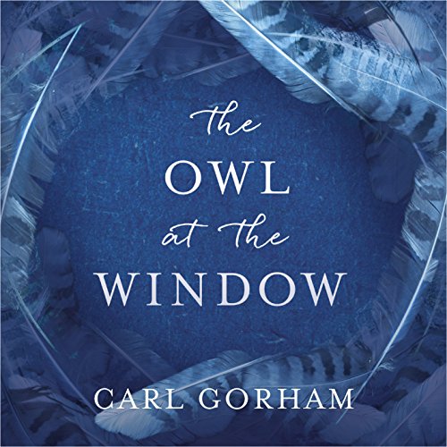 Cover of The Owl at the Window