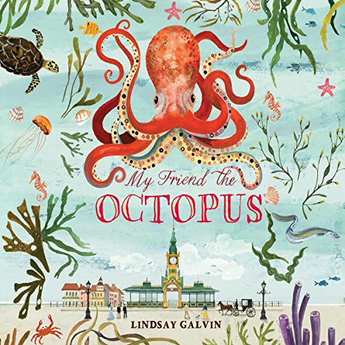Cover of My Friend the Octopus