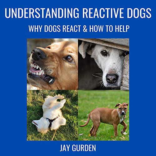 Cover of Understanding Reactive Dogs