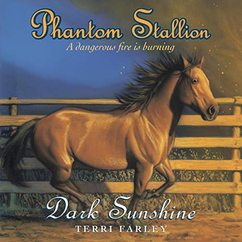 Cover of Dark Sunshine