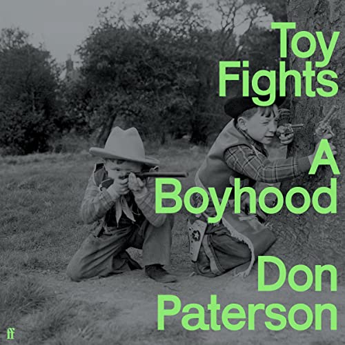 Cover of Toy Fights