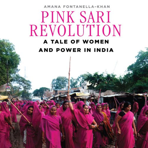 Cover of Pink Sari Revolution