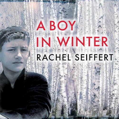Cover of A Boy in Winter