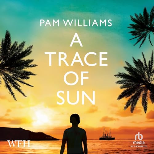 Cover of A Trace of Sun