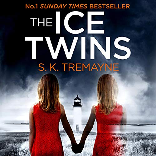 Cover of The Ice Twins