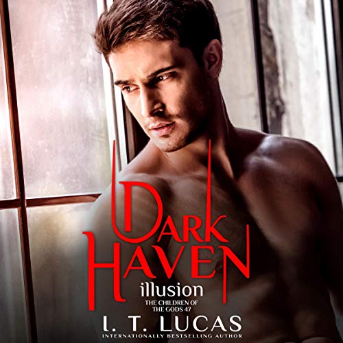 Cover of Dark Haven Illusion
