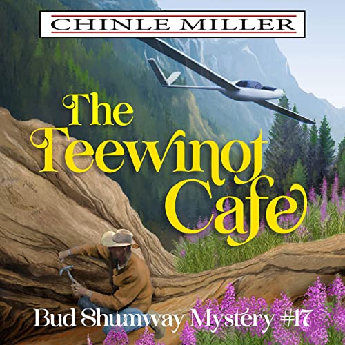 Cover of The Teewinot Cafe