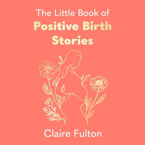 Cover of The Little Book of Positive Birth Stories