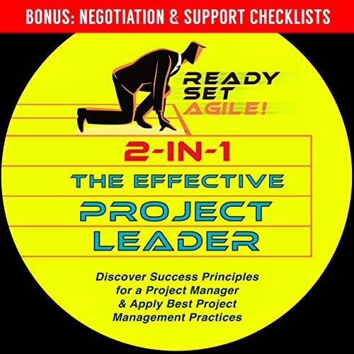 Cover of 2-in-1 the Effective Project Leader