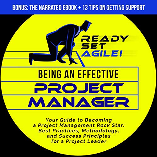 Cover of Being an Effective Project Manager