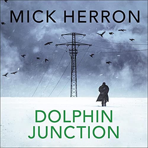 Cover of Dolphin Junction