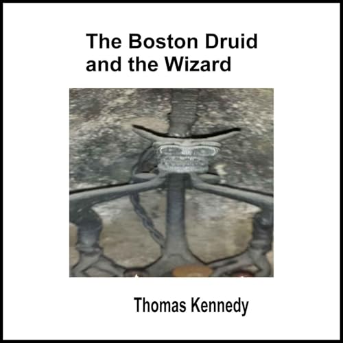 Cover of The Boston Druid and the Wizard