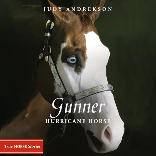 Cover of Gunner
