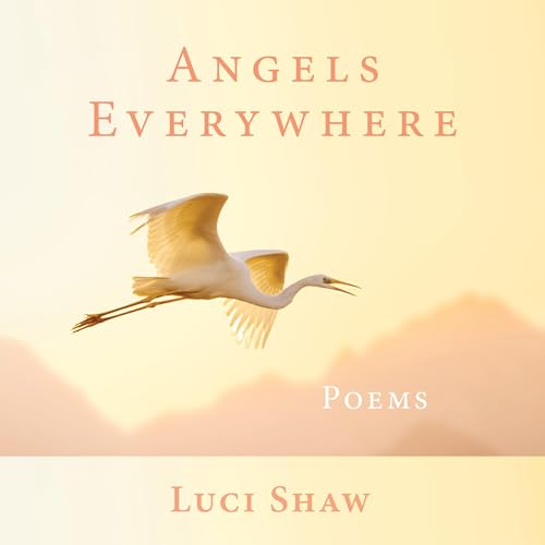 Cover of Angels Everywhere