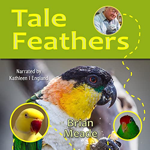 Cover of Tale Feathers