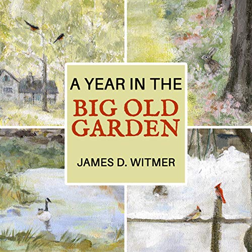 Cover of A Year in the Big Old Garden