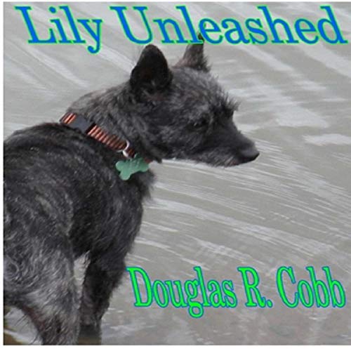 Cover of Lily, Unleashed