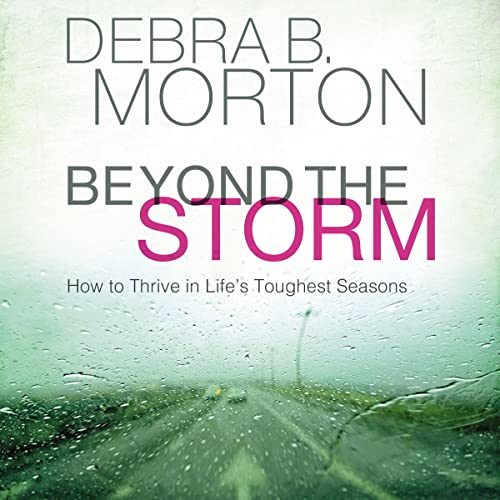 Cover of Beyond the Storm