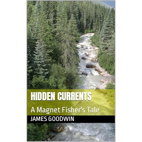 Cover of Hidden Currents