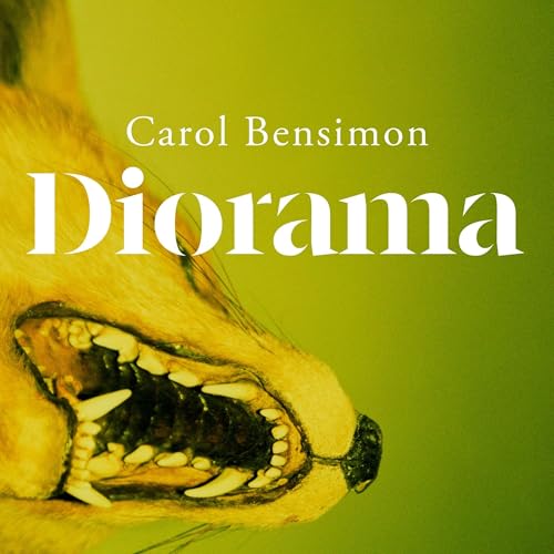 Cover of Diorama