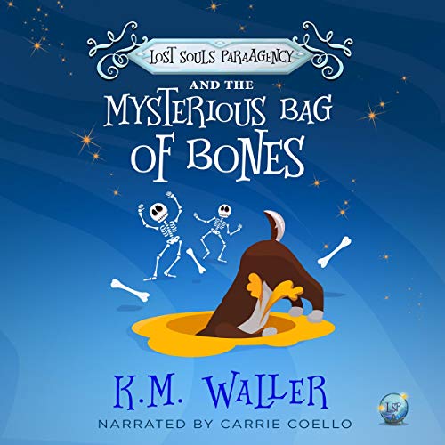 Cover of Lost Souls ParaAgency and the Mysterious Bag of Bones
