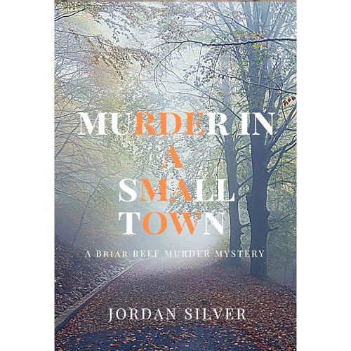 Cover of Murder In A Small Town