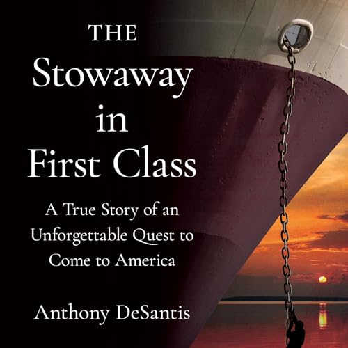 Cover of The Stowaway in First Class