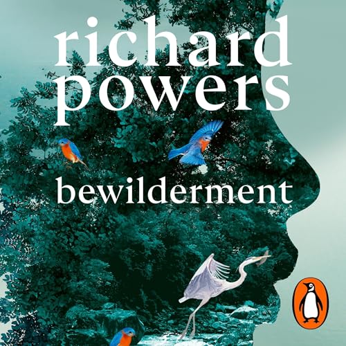 Cover of Bewilderment