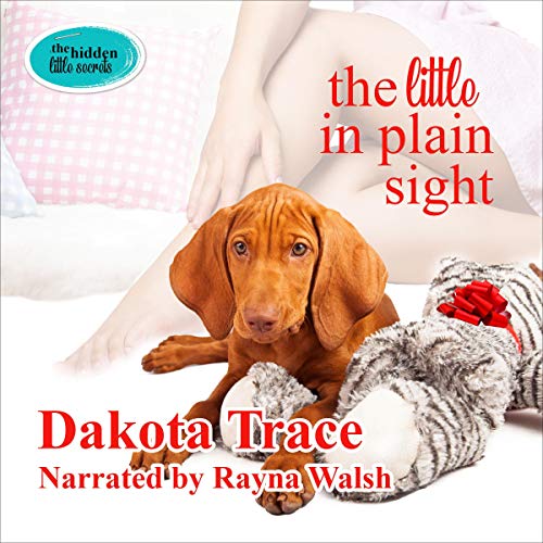 Cover of The Little in Plain Sight
