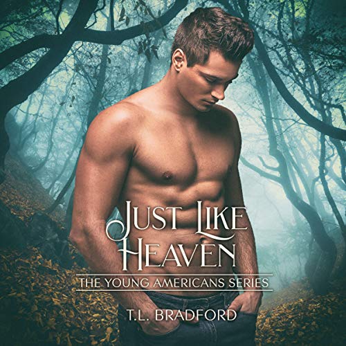 Cover of Just Like Heaven