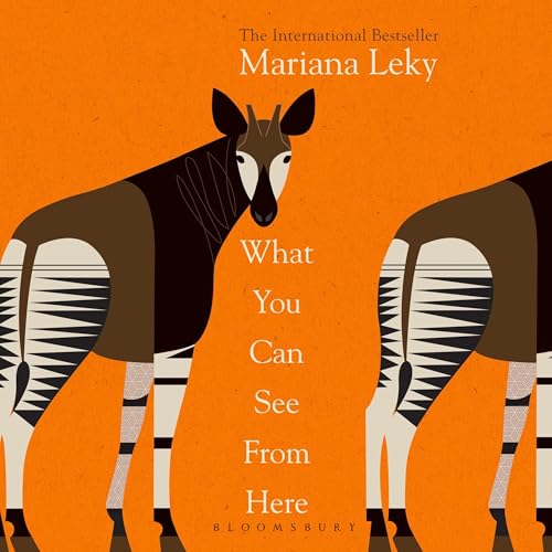 Cover of What You Can See From Here