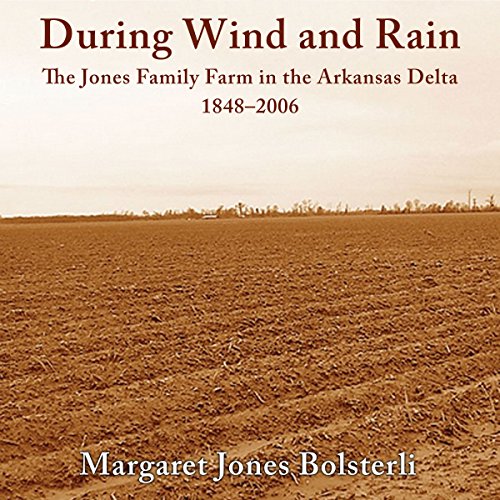Cover of During Wind and Rain