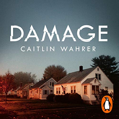Cover of Damage