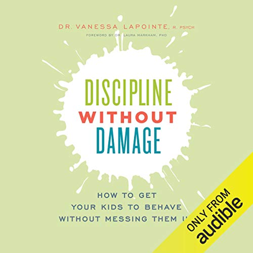 Cover of Discipline Without Damage