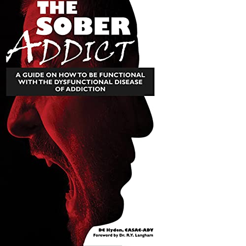 Cover of The Sober Addict