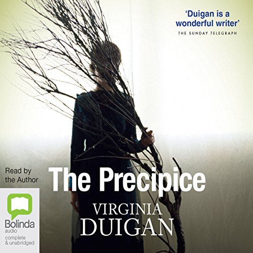 Cover of The Precipice