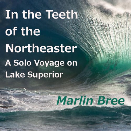 Cover of In the Teeth of the Northeaster