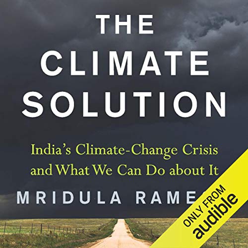 Cover of The Climate Solution